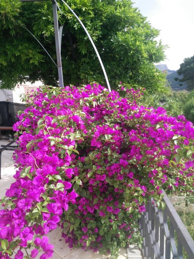 Incantevole Villa Con Vista Mozzafiato Cefalu Bagian luar foto